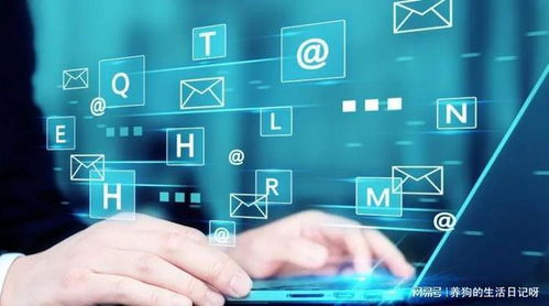 湖南助企文化傳媒 企業(yè)網(wǎng)絡(luò)營銷推廣與網(wǎng)絡(luò)經(jīng)營實(shí)戰(zhàn)指南